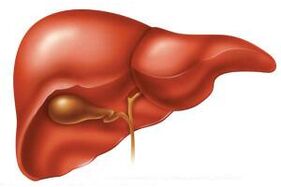 Na fase aguda da helmintíase, o fígado pode aumentar de tamanho